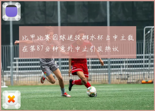 比甲比赛因球迷投掷水杯击中主裁在第87分钟意外中止引发热议