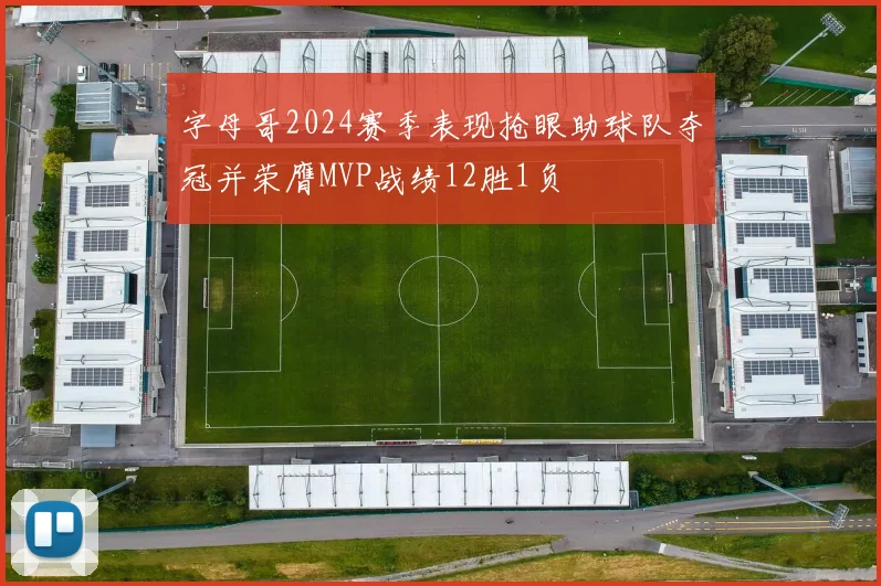 字母哥2024赛季表现抢眼助球队夺冠并荣膺MVP战绩12胜1负