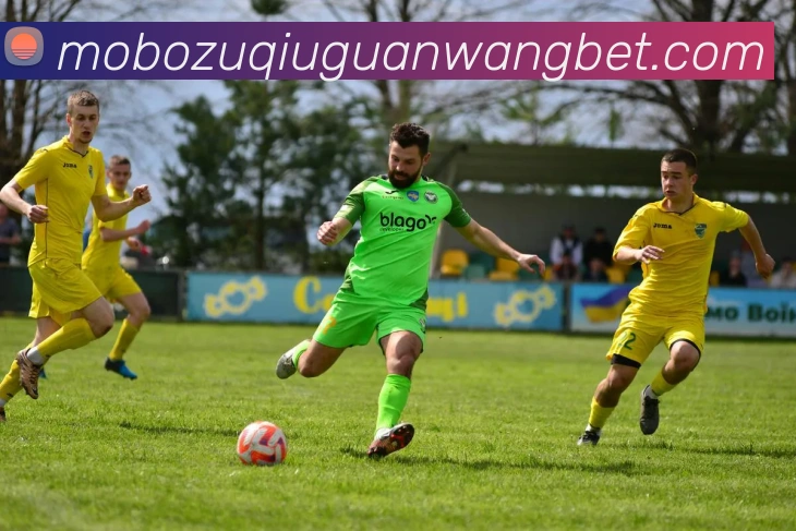 摩博体育平台生态图