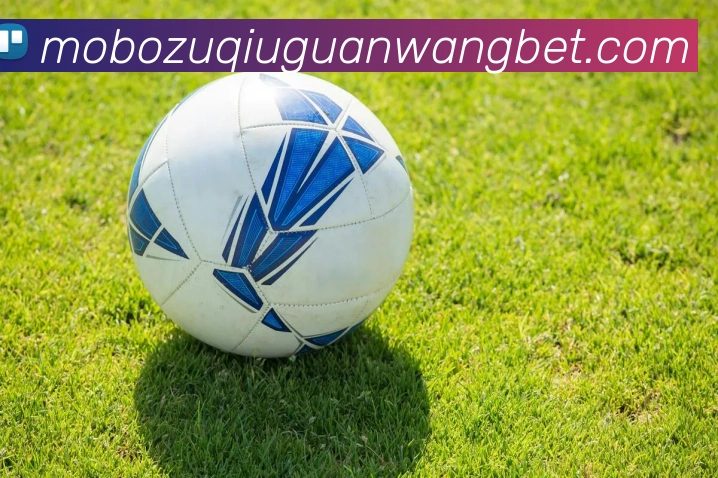 摩博体育全站App